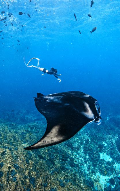 Manta Point