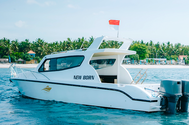 Newborn gallery – yacht charter Bali