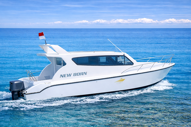 Newborn gallery – yacht charter Bali