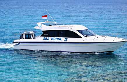 Seahorse II – luxury yacht for rent in Bali
